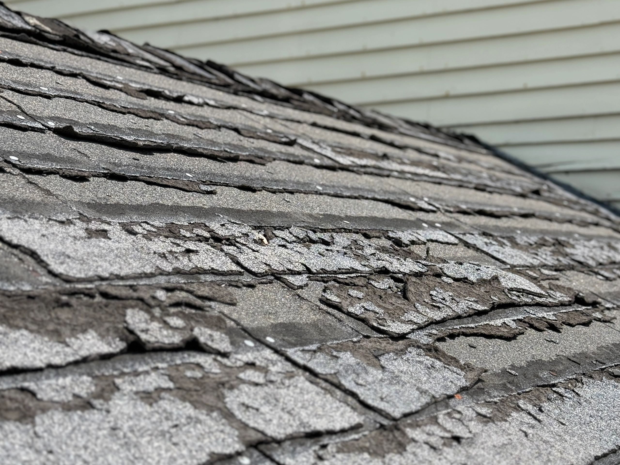 Close-up of wind-damaged roof shingles