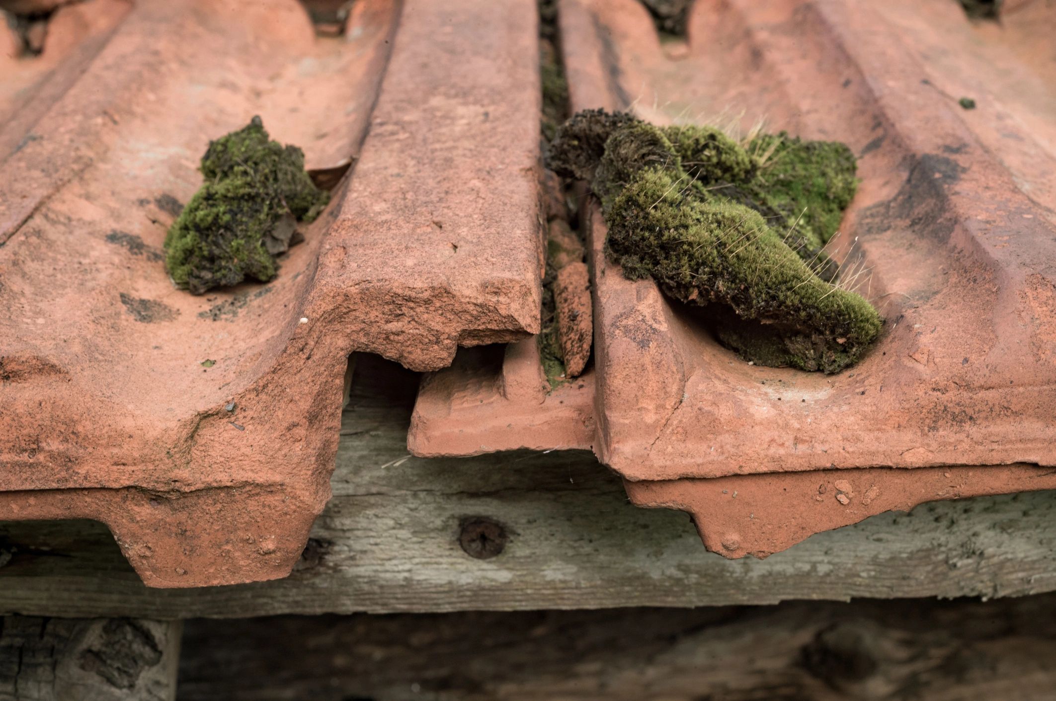 Close-up of clay roof tiles showing texture and overlap